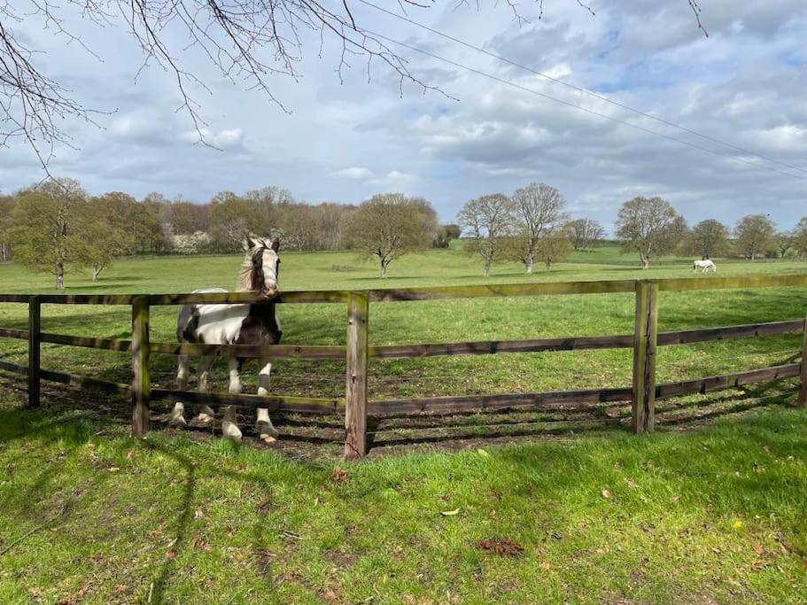 Jersey Cottage Horseheath المظهر الخارجي الصورة